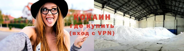 apvp Кукмор