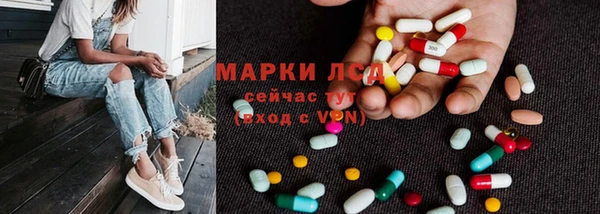 apvp Кукмор