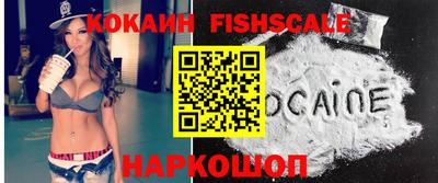 индика Гусев