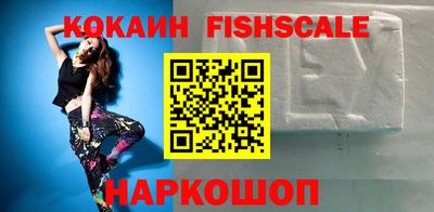 индика Гусев