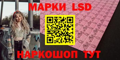 индика Гусев