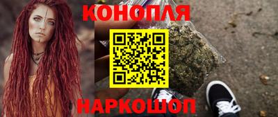 индика Гусев