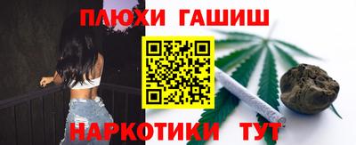 индика Гусев