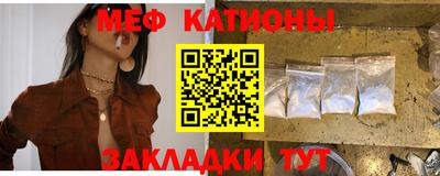 индика Гусев