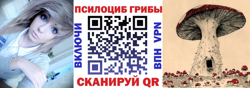 сколько стоит  Каменка  Галлюциногенные грибы Cubensis 