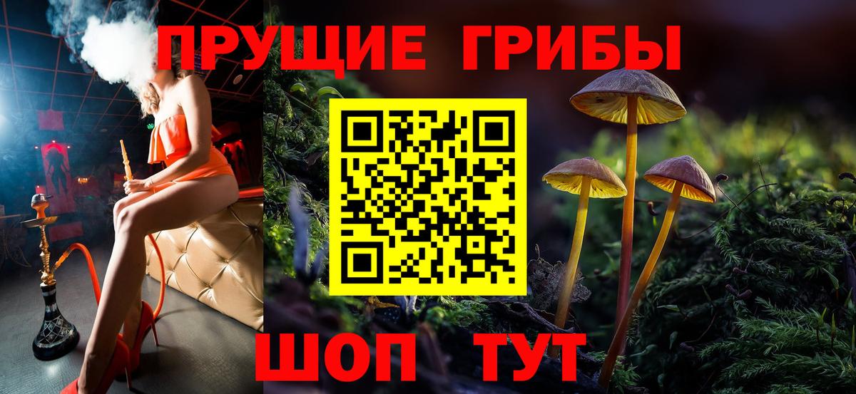 Псилоцибиновые грибы ЛСД Каменка