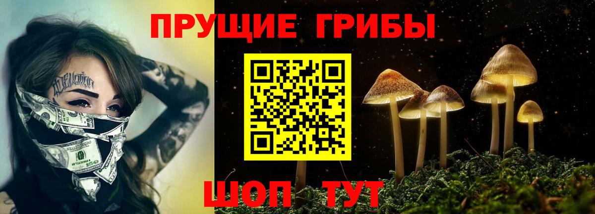 Галлюциногенные грибы Magic Shrooms  Вход с VPN  Каменка 
